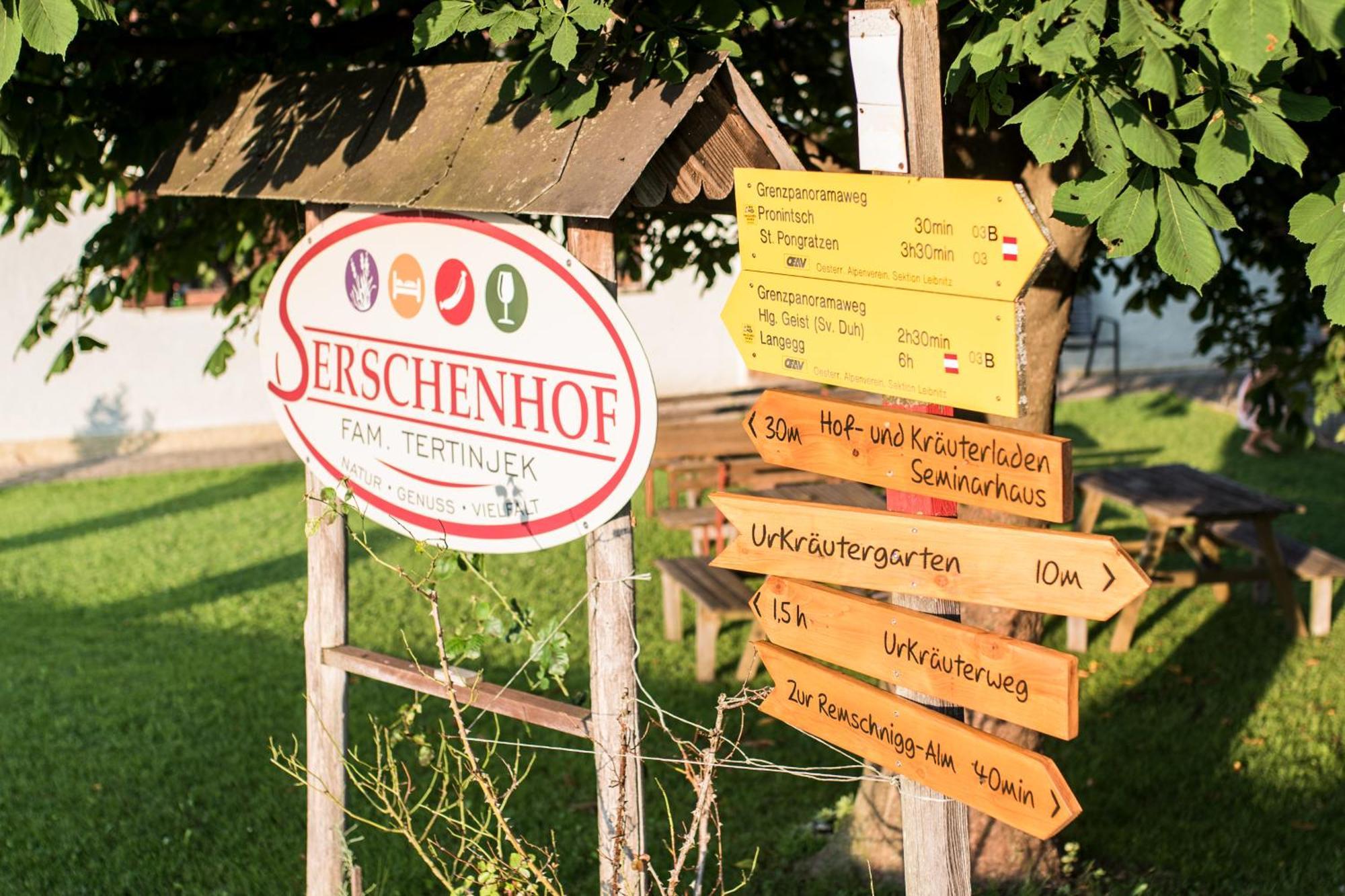 Serschenhof- Auszeit Ueber Dem Stall Лойчах Екстер'єр фото